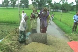 nilphamari3