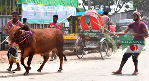 ফাইল ছবি