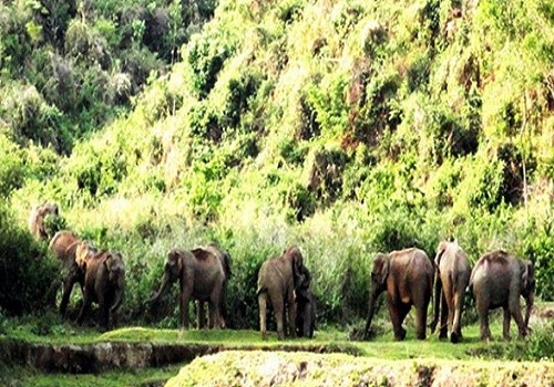 ফাইল ফটো