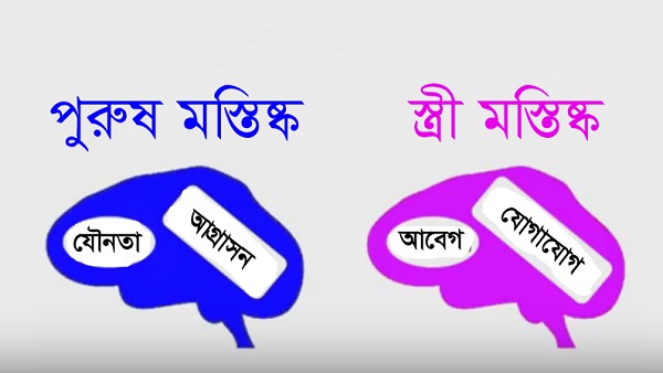 পুরনো গল্প: বলা হয়ে থাকে, মস্তিষ্কের পার্থক্যের কারণেই পুরুষেরা আগ্রাসী হয়, নারীরা হয় সহৃদয়। ডাফনা জোয়েলের সরবরাহকৃত স্লাইডের বাংলা গ্রাফিকস