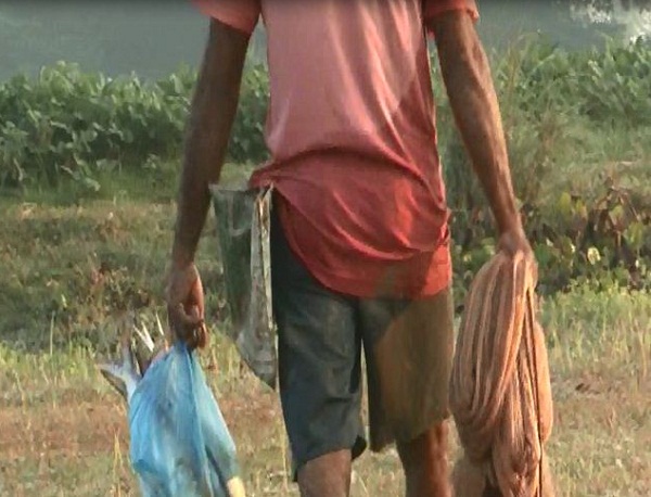 %e0%a6%aa%e0%a6%be%e0%a6%ac%e0%a6%a8%e0%a6%be%e0%a7%a7