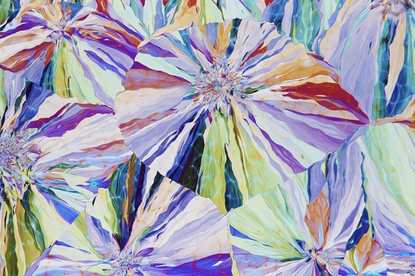 ডেভিড মেইটল্যান্ড (যুক্তরাজ্য)