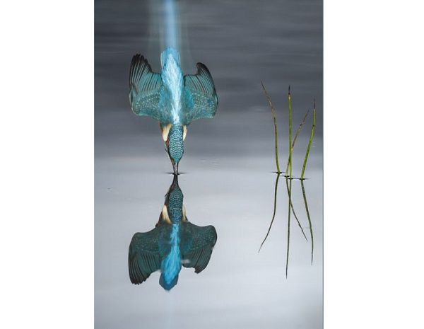 মারিও সেয়া (স্পেন)