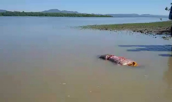 রোহিঙ্গা