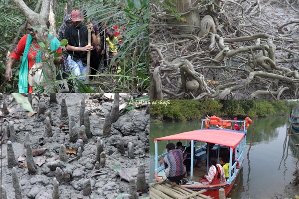 কুয়াকাটার পাশে 'ফাতরার বন', এর আসল নাম টেংরাগিরি, অনেকটা সুন্দরবনের মতো দেখতে