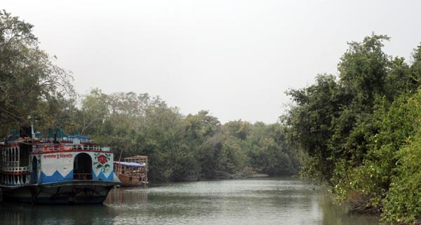 কুয়াকাটার পাশে 'ফাতরার বন', এর আসল নাম টেংরাগিরি, অনেকটা সুন্দরবনের মতো দেখতে