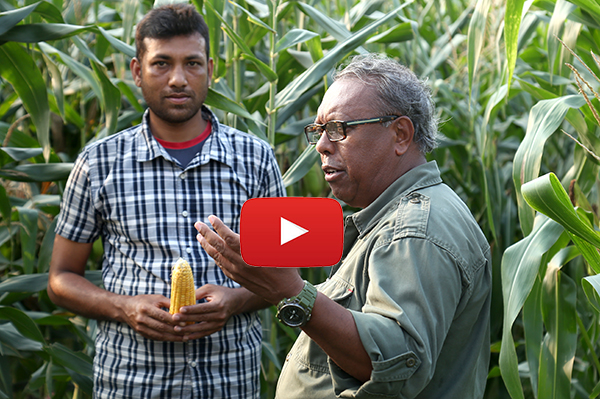 কৃষকের সঙ্গে শাইখ সিরাজ।