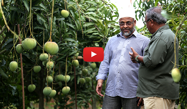 শাইখ সিরাজ ও আবুল কালাম আজাদ