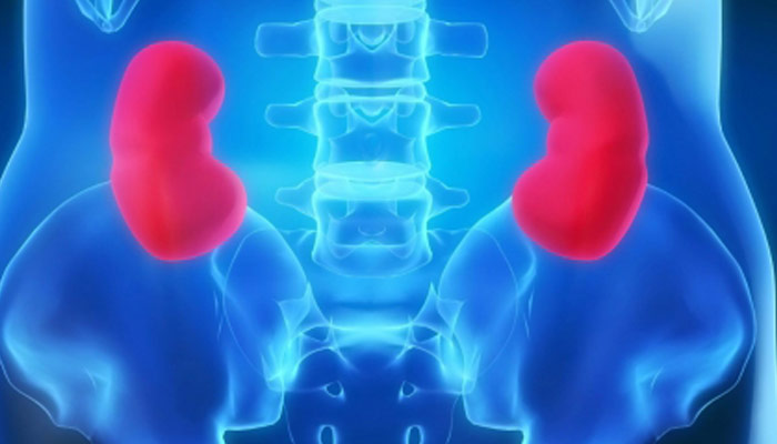 কিডনির সমস্যা