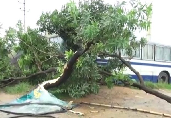 বাস দুর্ঘটনা