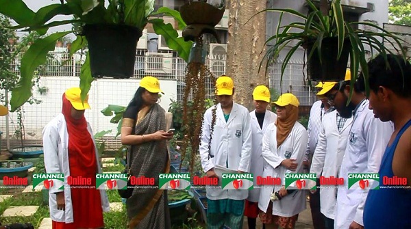 চিকুনগুনিয়া প্রতিরোধ