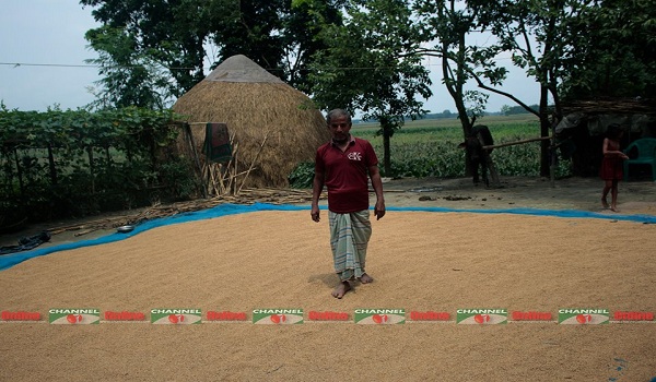 ধানের ভালো দাম পেয়ে খুশি কৃষকরা