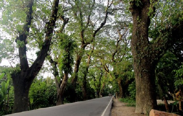 যশোর রোড, অ্যালেন গিন্সবার্গ ও ধরিত্রীমাতা