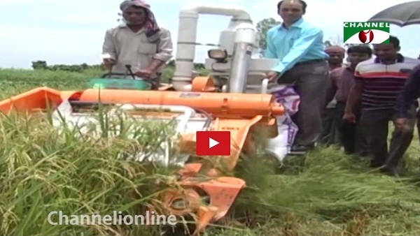 কৃষিকাজ