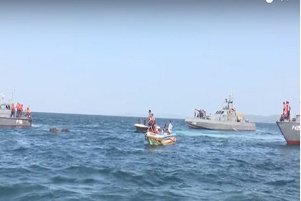 হাতি উদ্ধার