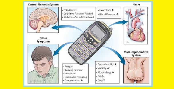 মোবাইল ফোন রেডিয়েশনে আমরা কি স্বাস্থ্য ঝুঁকিতে?