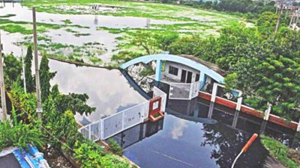 দুর্গন্ধযুক্ত পানিতে জন্মেছে শ্যাওলা, কচুরিপানা। ক্রিকেটের চেয়ে মাছ চাষের জন্যই বেশি উপযুক্ত এখন ফতুল্লা স্টেডিয়াম!