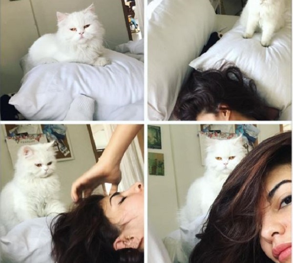 জ্যাকুলিন ফার্নান্দেজ ও তার মিউ মিউ