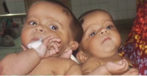 তোফা ও তহুরা