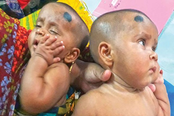 তোফা-তহুরা