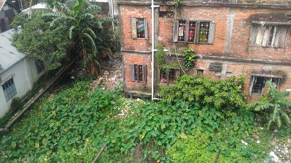 মশা মাছির জন্য আদর্শ জায়গার অভাব নেই ভাষানটেকে। 