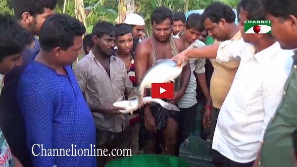 ব্যক্তি উদ্যোগে সমন্বিত খামার