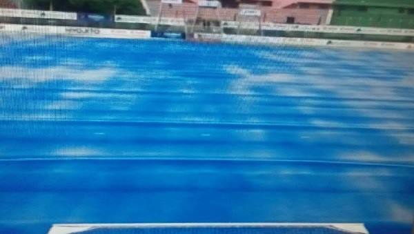 টার্ফের বেহাল দশা