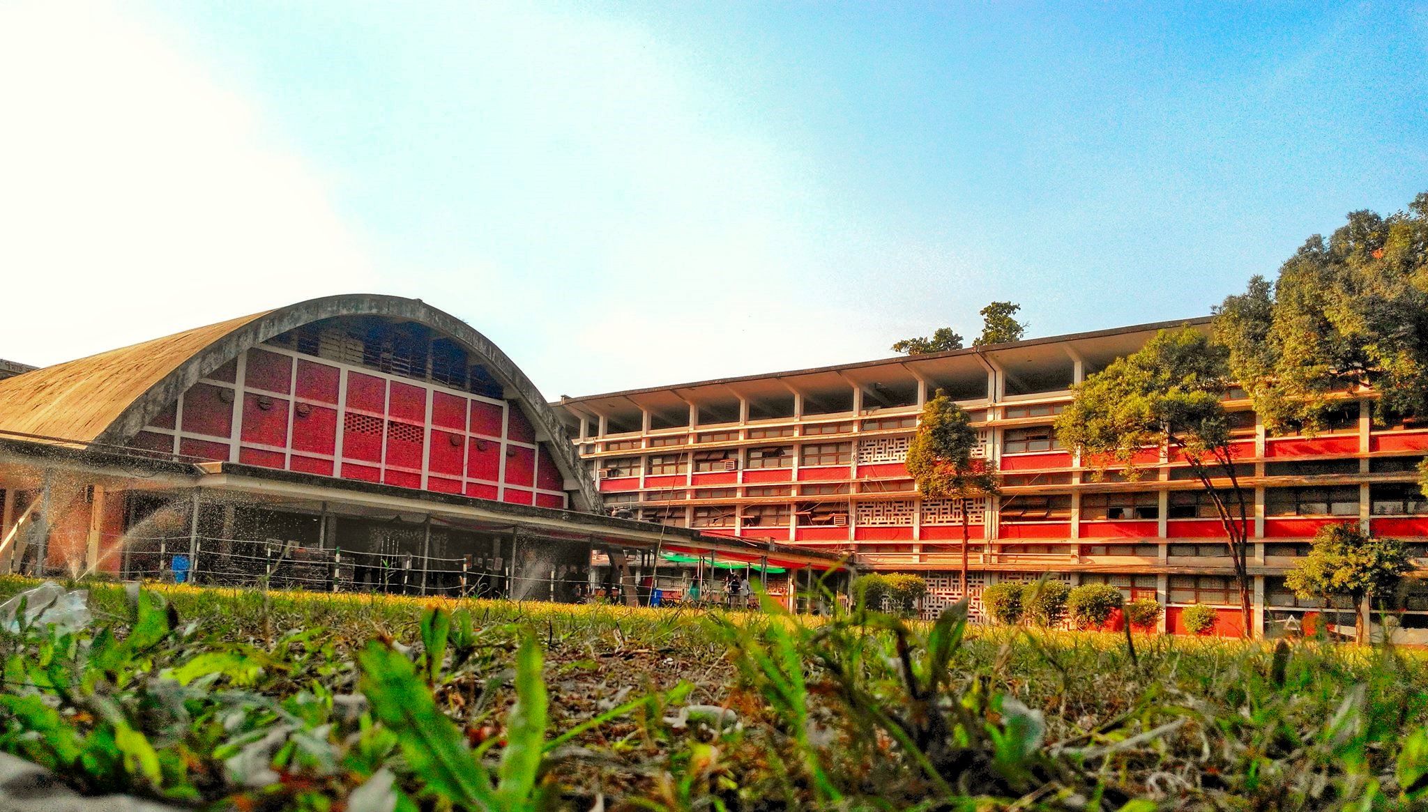 ঢাকা বিশ্ববিদ্যালয়ের টিএসসি
ছবি: সংগৃহীত