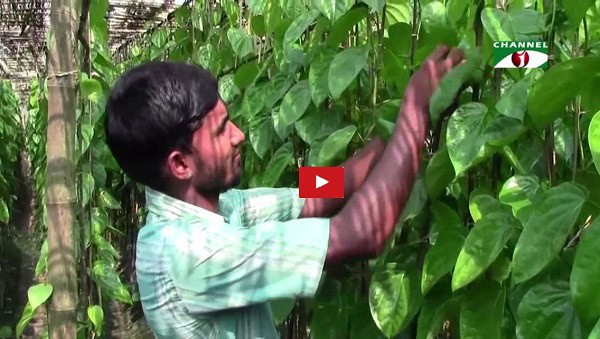 -4 Channel i News - চ্যানেল আই নিউজ