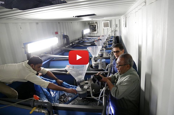 ইনডোর ফিশ ফার্মিং-ঘরোয়া মাছ চাষ