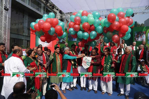 বিজয় মেলা