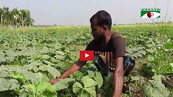 প্রতিবন্ধি কৃষক আক্কাস