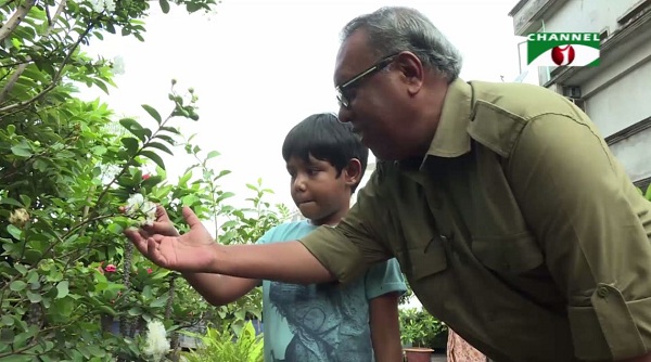 ছাদকৃষি