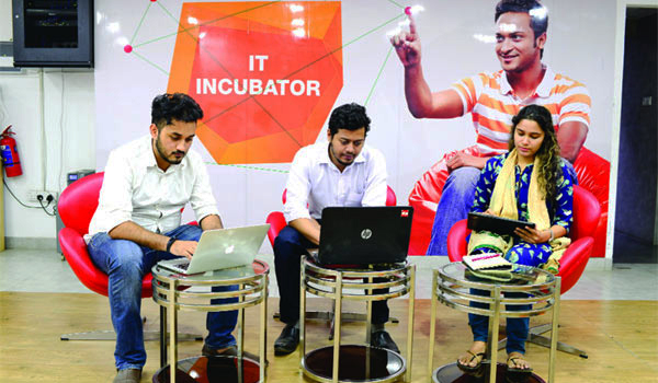 আইটি ইনকিউবেটর