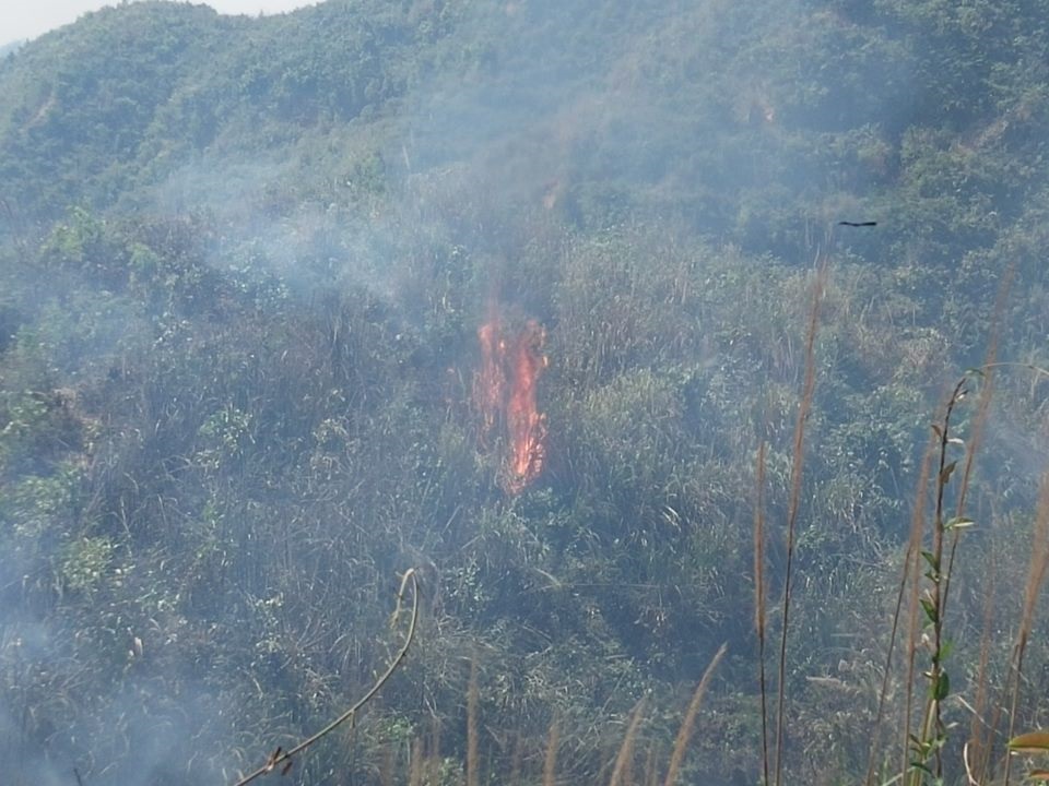 ফাইল ফটো