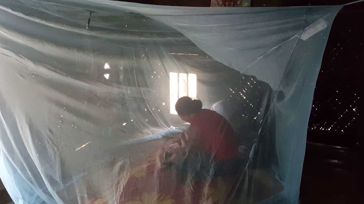 ম্যালেরিয়া-পার্বত্য অঞ্চল