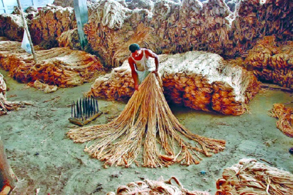 পাট গুদাম