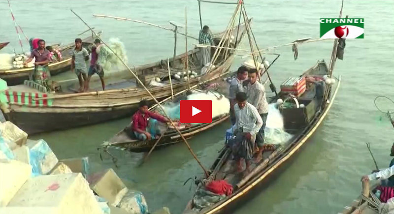 ভোলা-মাছ চাষ