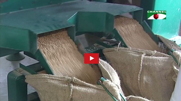 কৃষিখাত