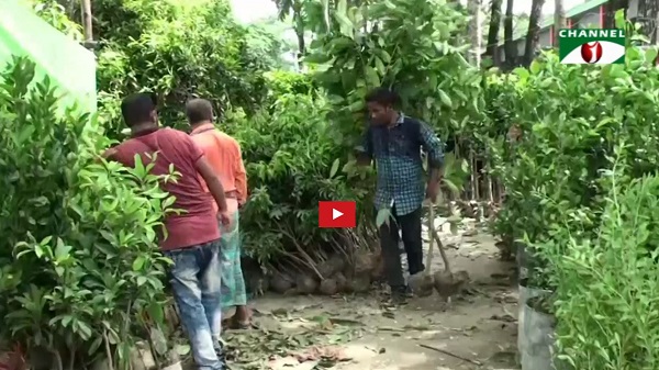 বৃক্ষ রোপণ