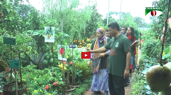 বৃক্ষমেলা