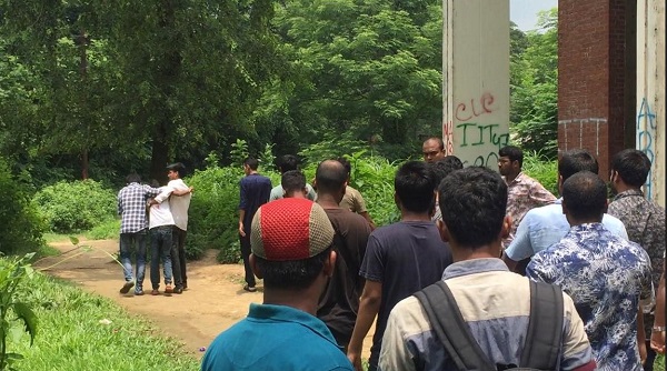 জাবি