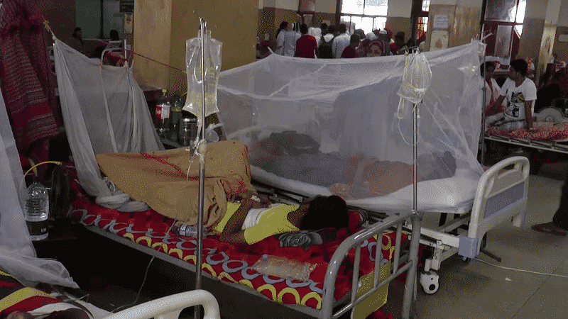 ডেঙ্গু রোগী শনাক্ত