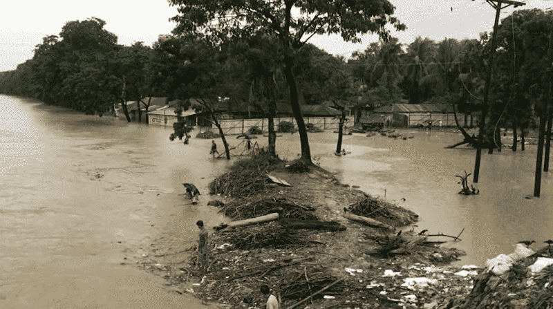টানা বৃষ্টিতে প্লাবিত নিম্নাঞ্চল, বিপদসীমার ওপর নদ-নদীর পানি