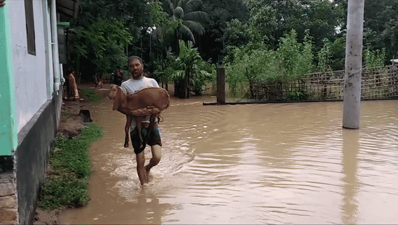 টানা বৃষ্টিতে প্লাবিত নিম্নাঞ্চল