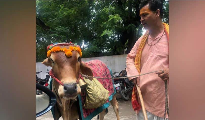 ‘ভবিষ্যৎবক্তা গরু’ নিয়ে ফেসবুকে প্রিয়াঙ্কা-পতি