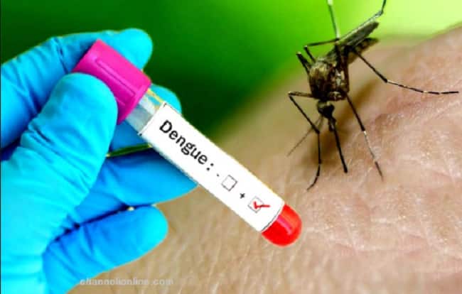 ডেঙ্গু-পরীক্ষার কিট