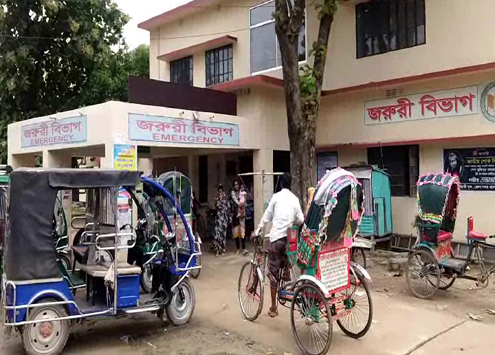 রাজবাড়ী-বাস উল্টে নিহত