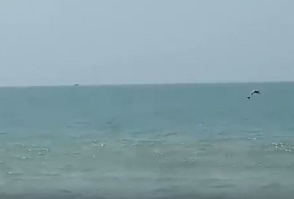 করোনা ভাইরাস