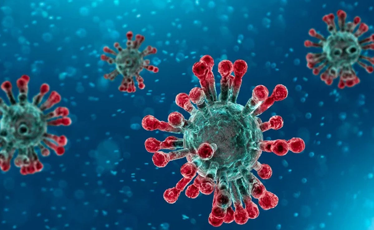 করোনাভাইরাস